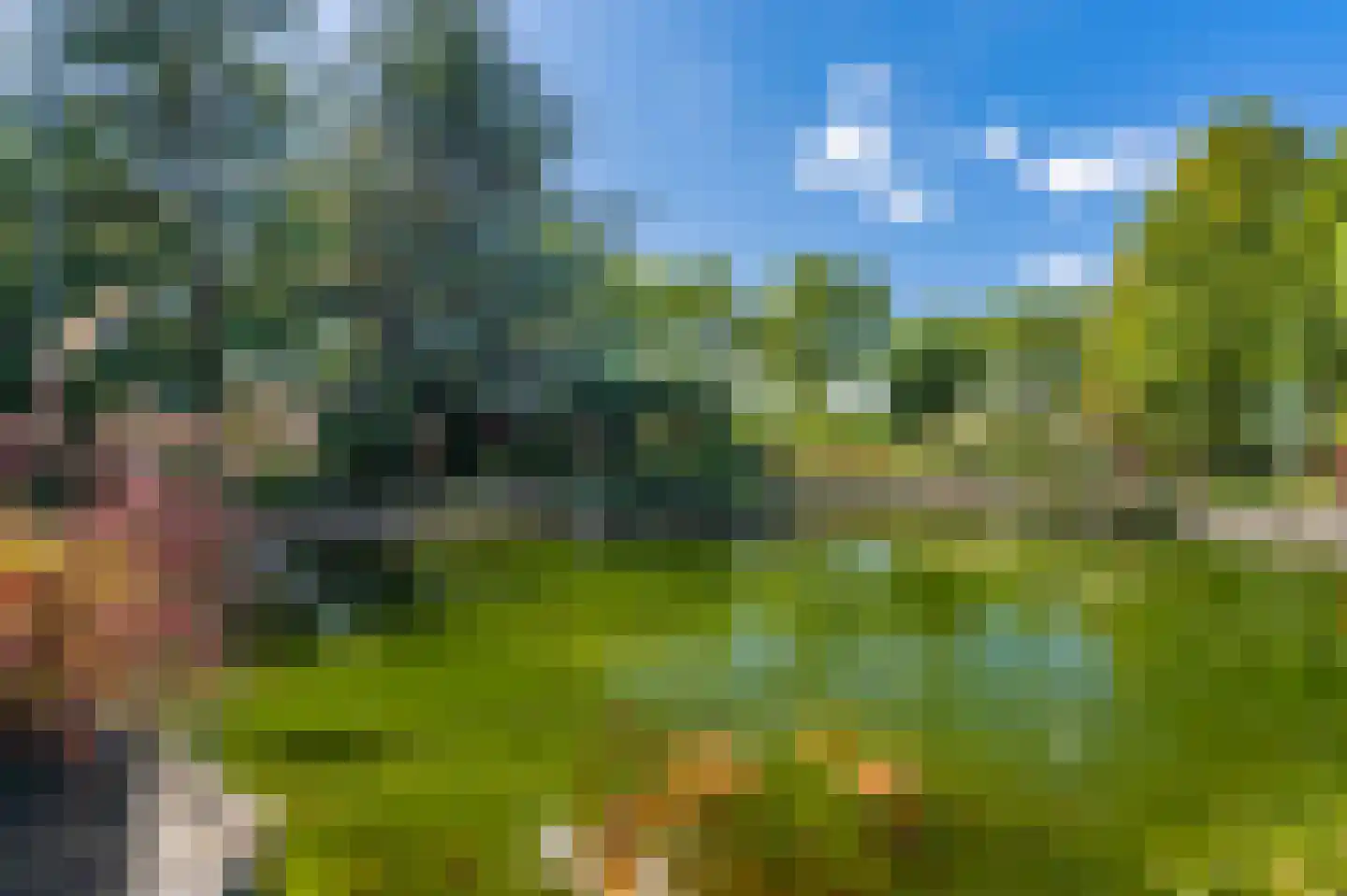 Rootveld 2 Appingedam thumbnail 18
