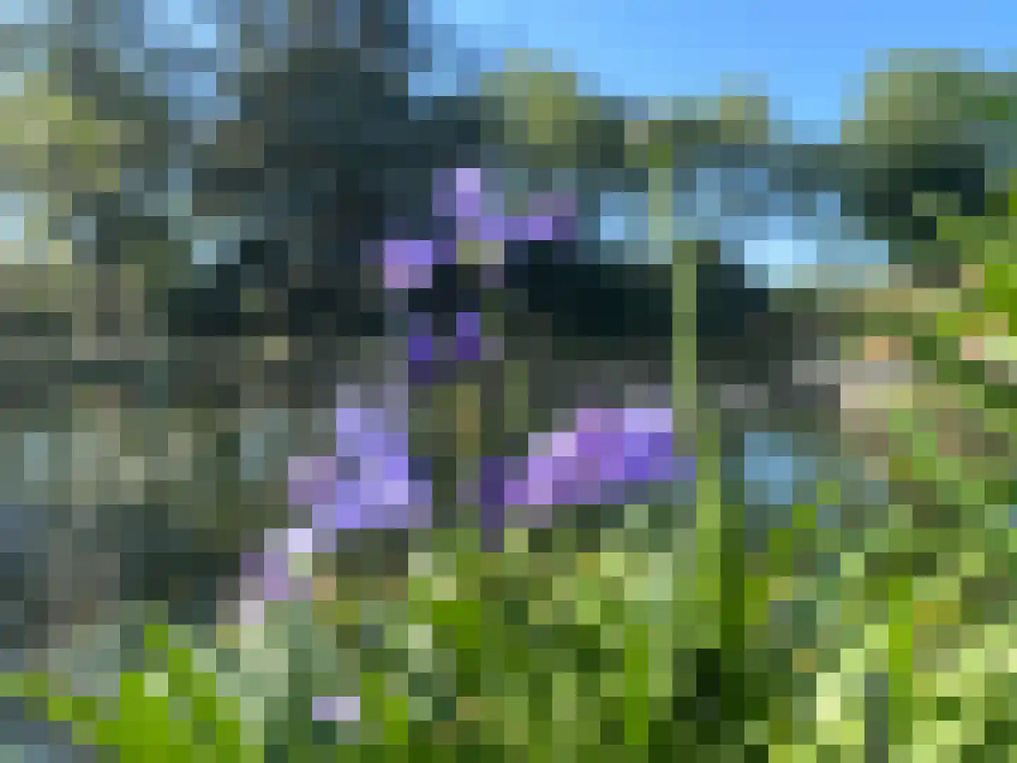 Rootveld 2 Appingedam thumbnail 19