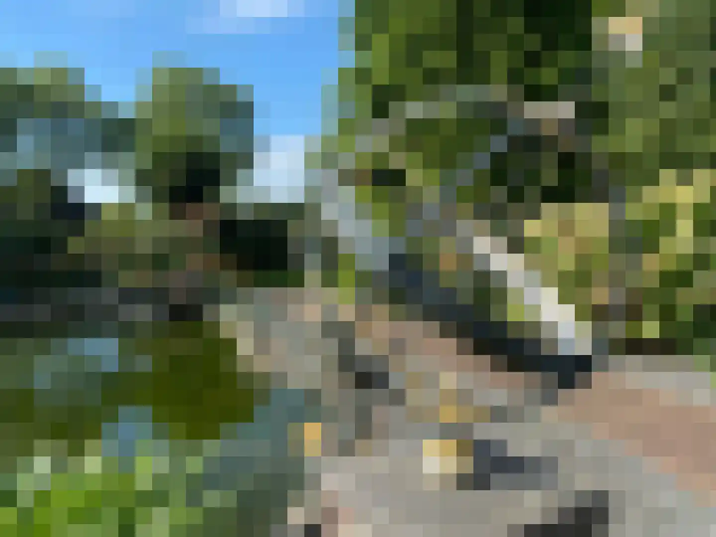 Rootveld 2 Appingedam thumbnail 24