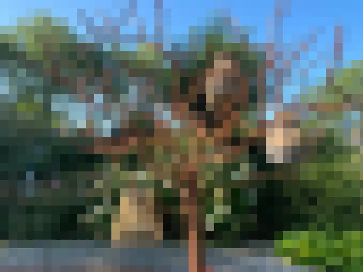 Rootveld 2 Appingedam thumbnail 26