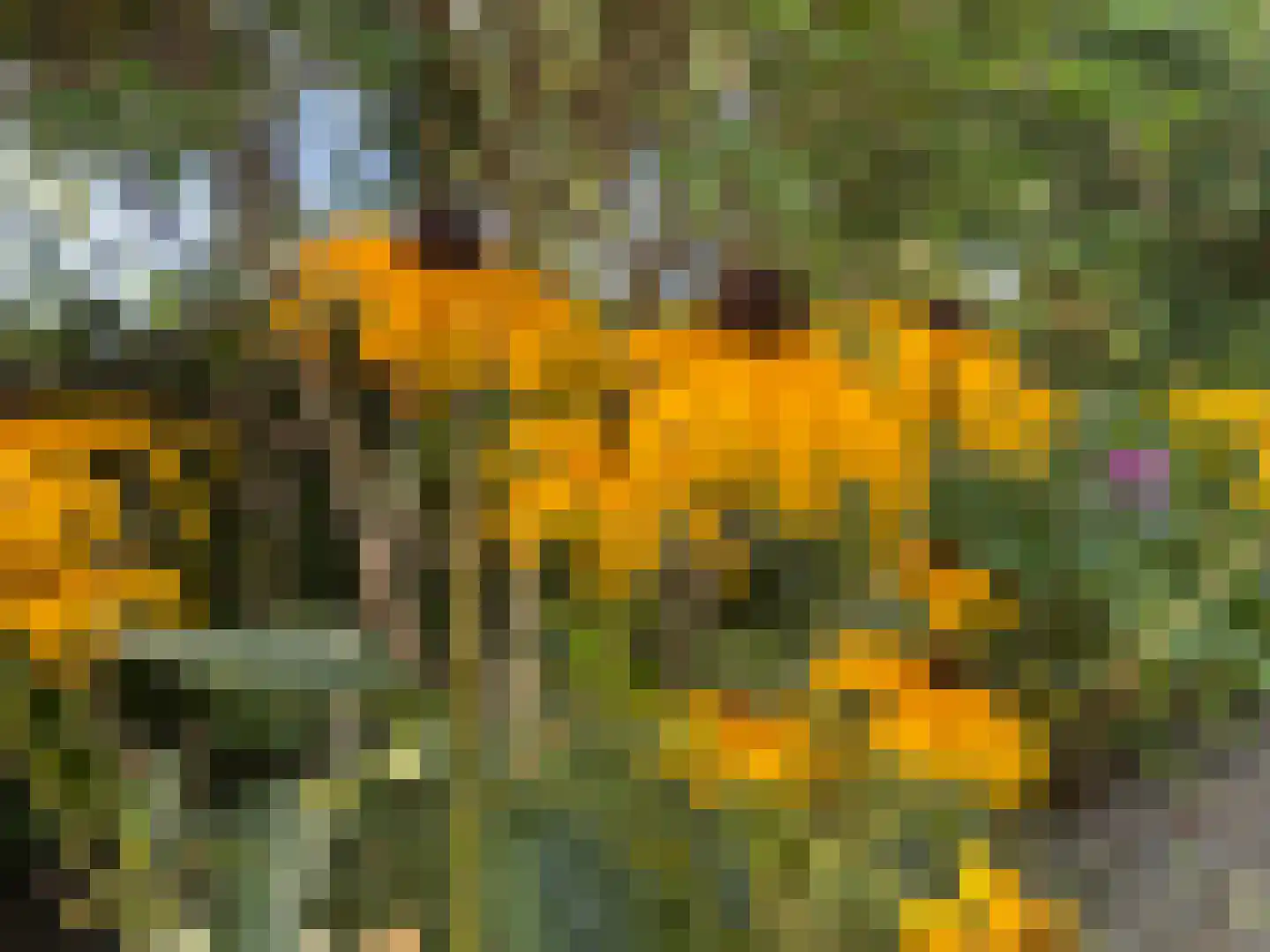 Rootveld 2 Appingedam thumbnail 27