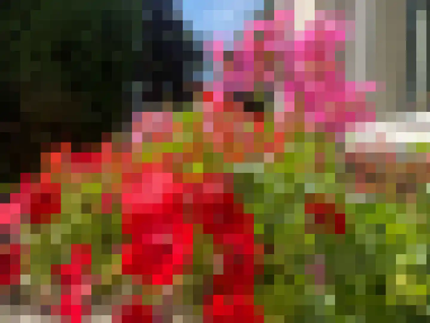 Rootveld 2 Appingedam thumbnail 31