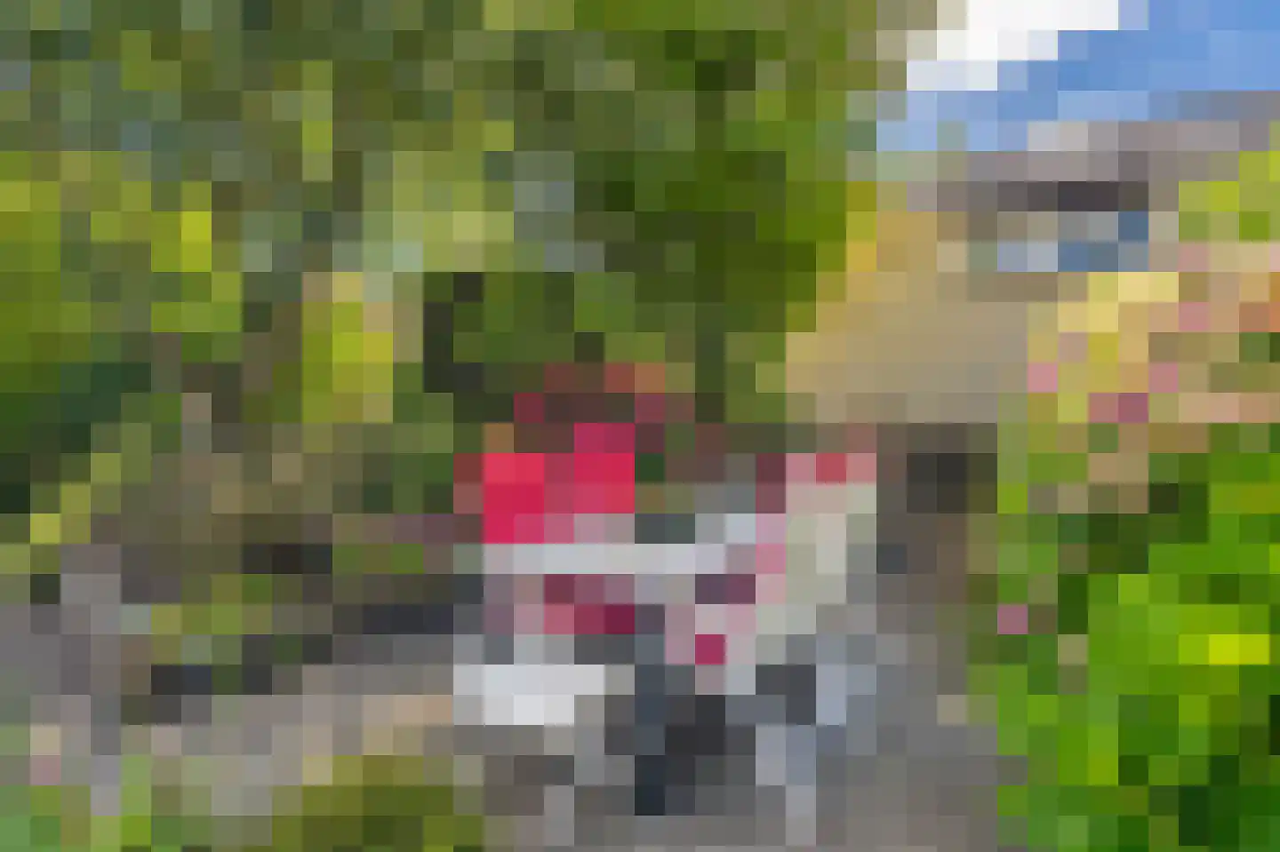 Rootveld 2 Appingedam thumbnail 35