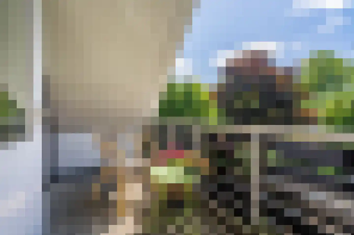 Rootveld 2 Appingedam thumbnail 6