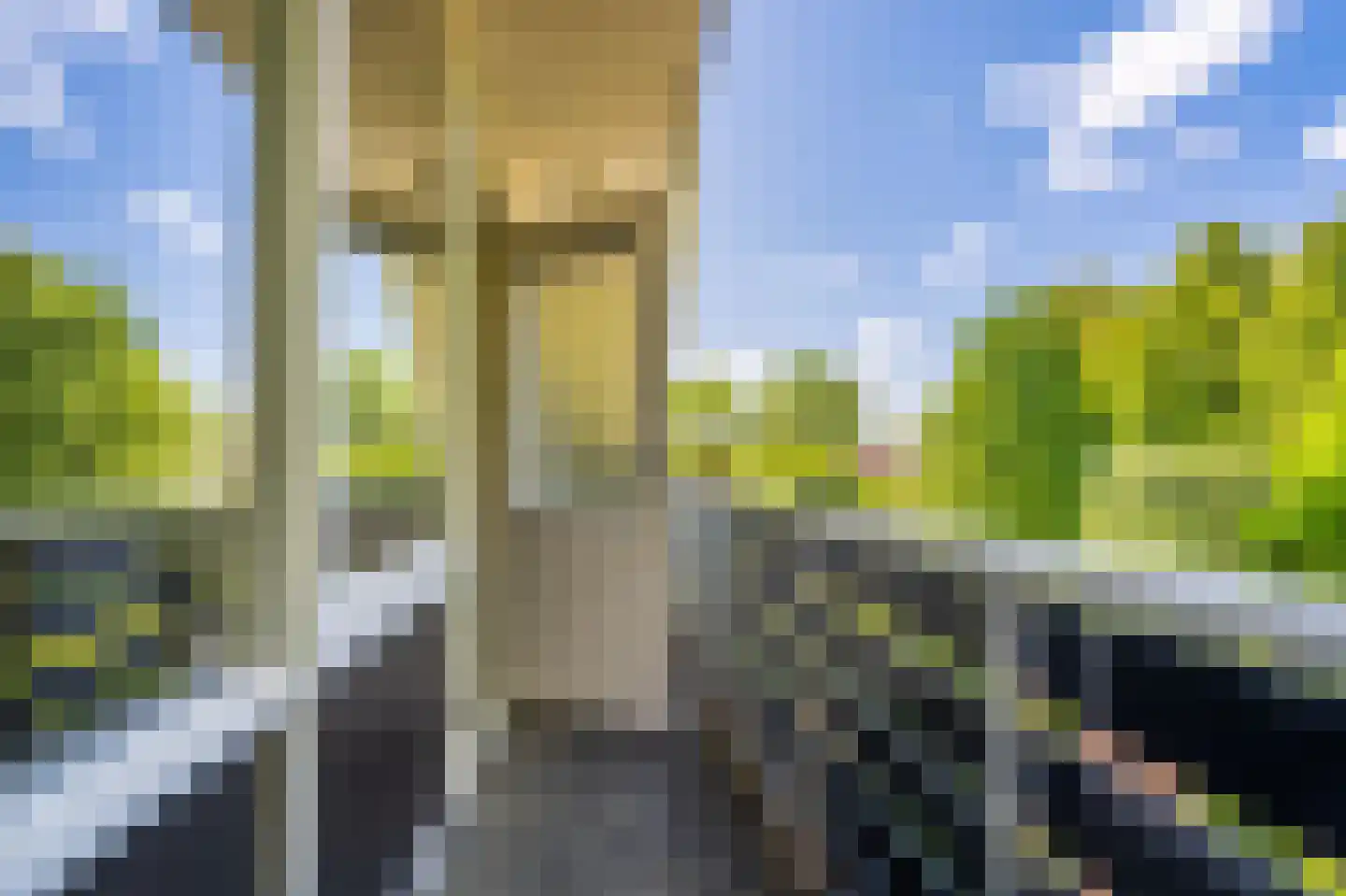 Rootveld 2 Appingedam thumbnail 76