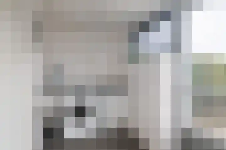 Rootveldstraat 8 Ransdaal thumbnail 10