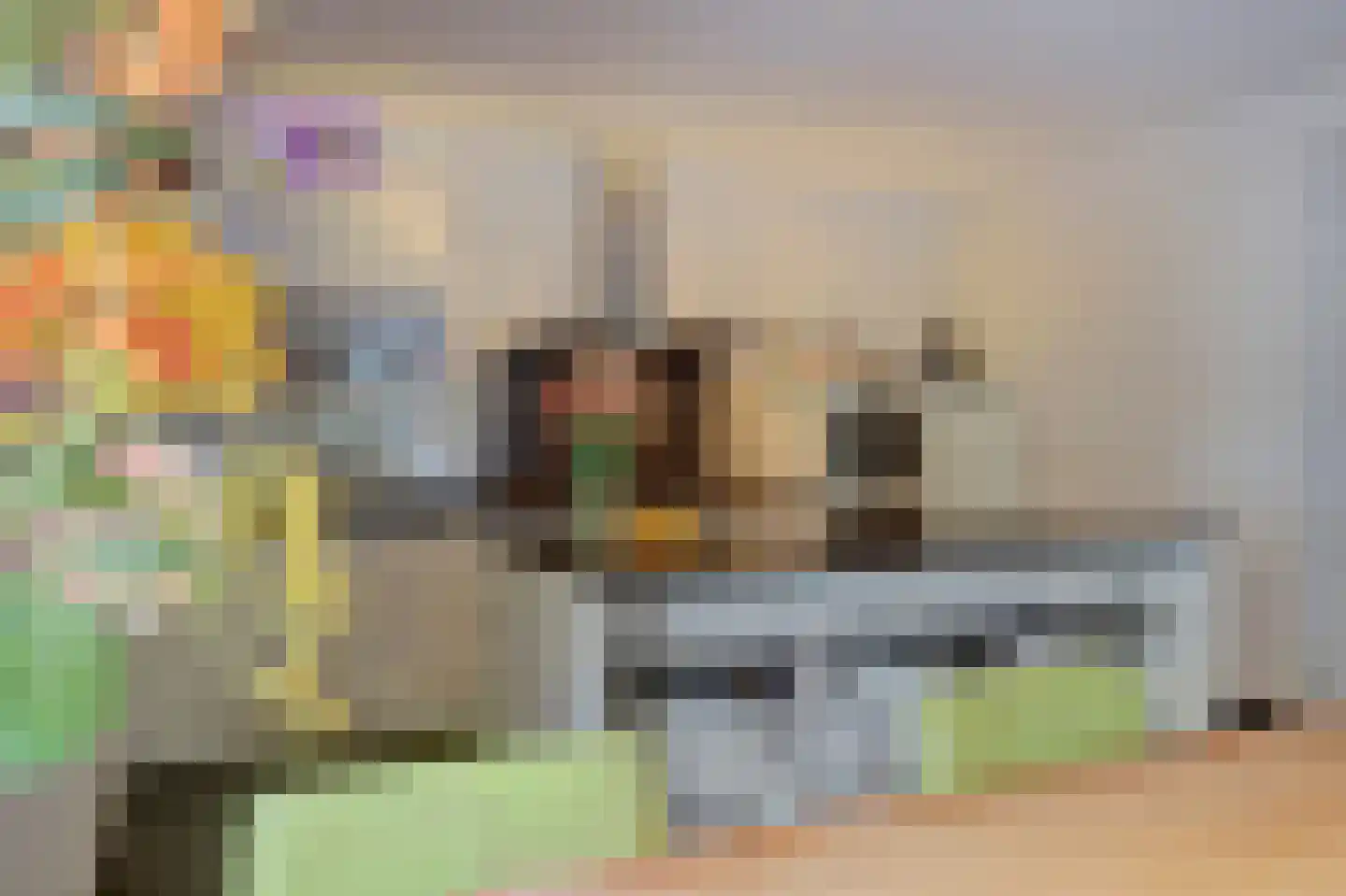 Rootven 16 A Bladel thumbnail 25