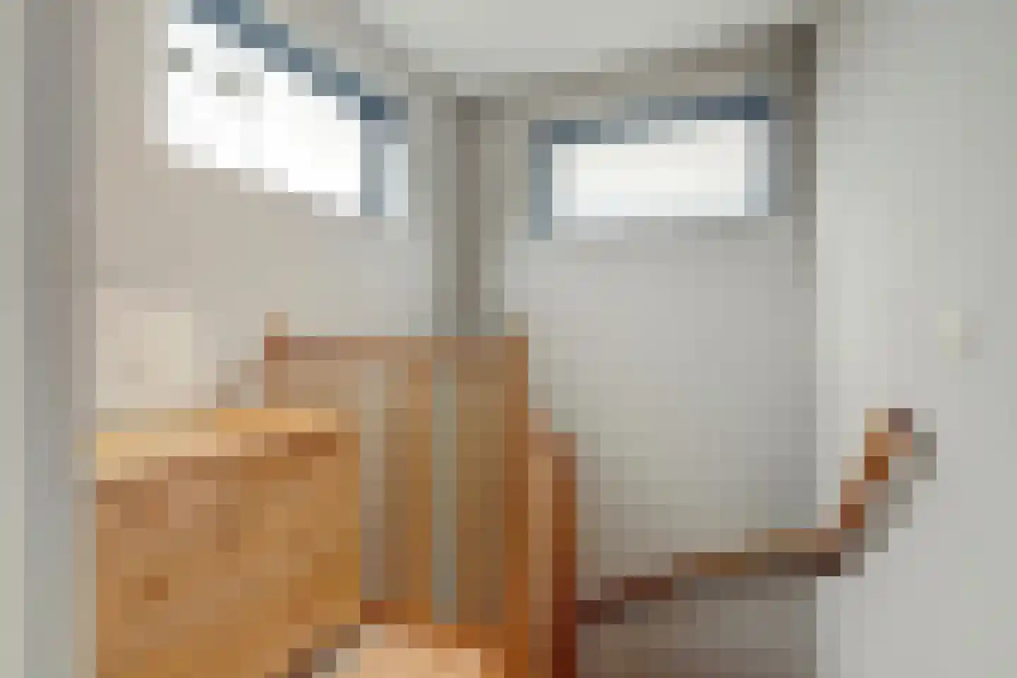 Rootven 16 A Bladel thumbnail 44