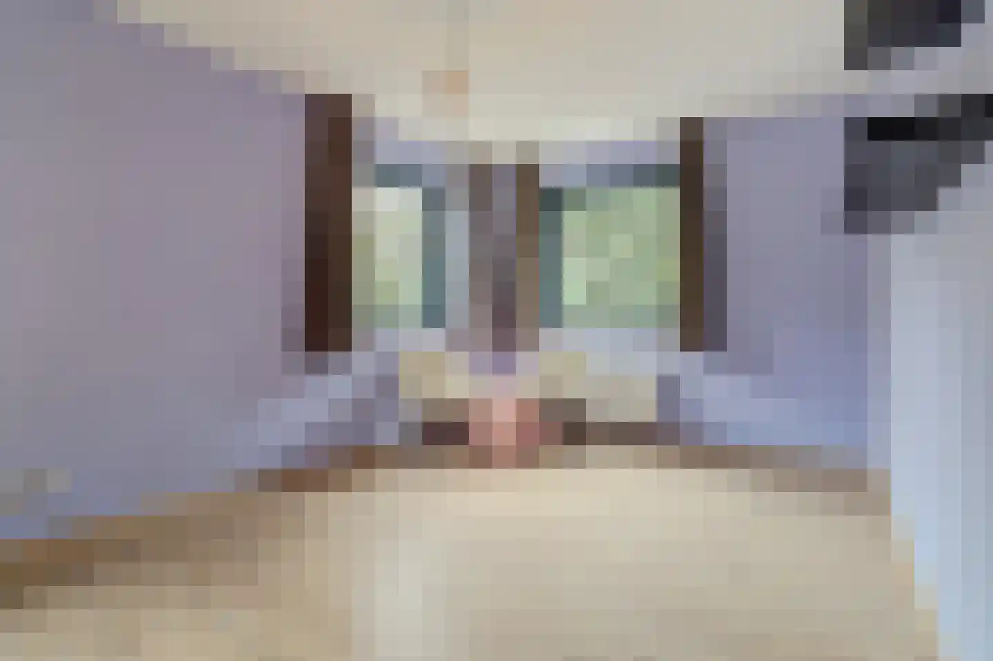 Rootven 16 A Bladel thumbnail 49