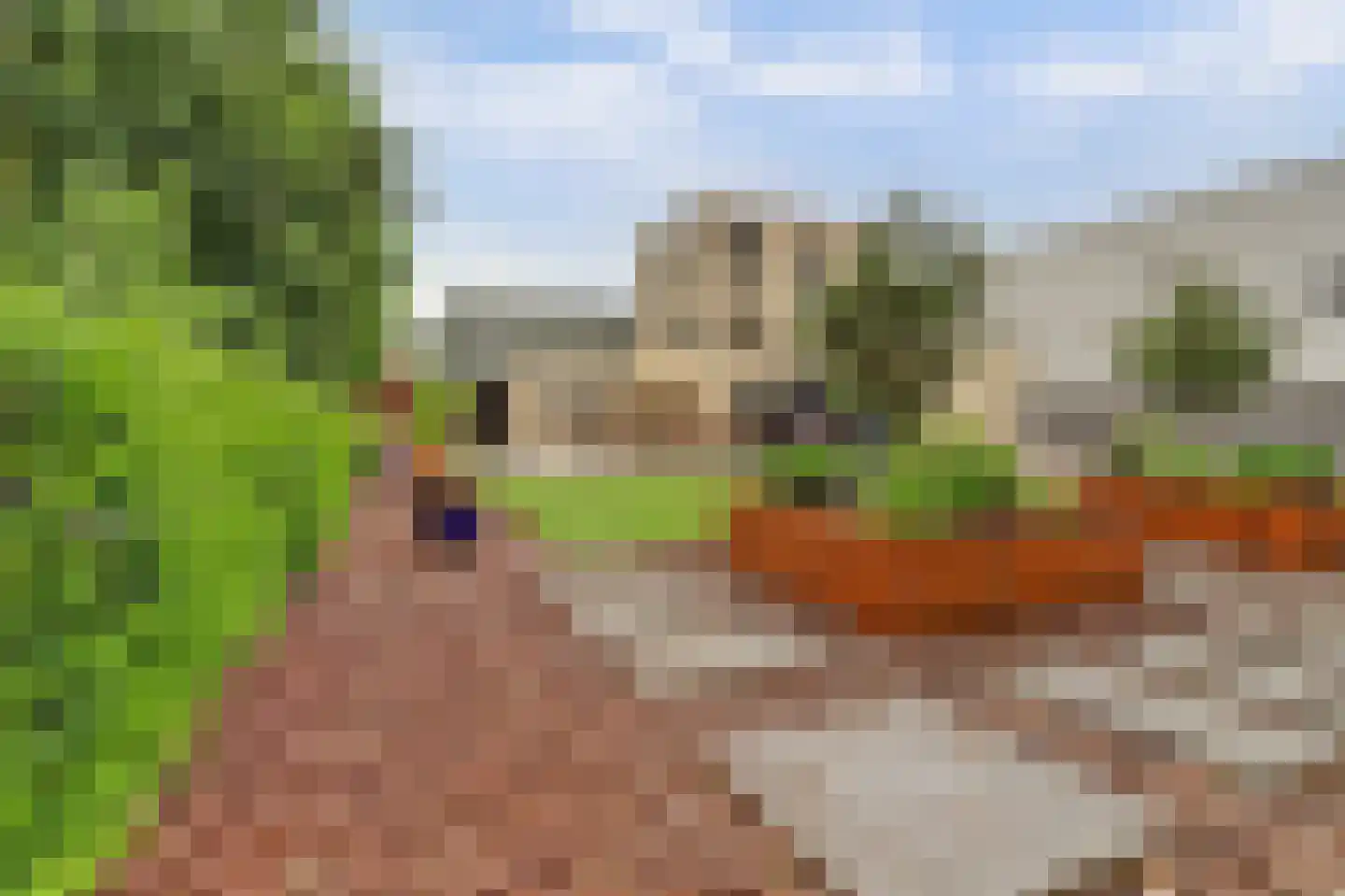 Rootven 16 A Bladel thumbnail 53