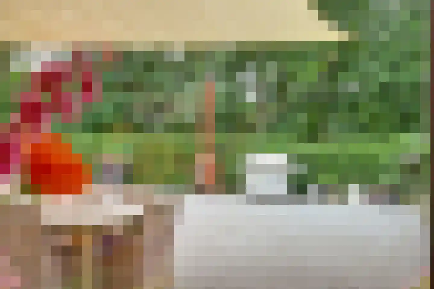 Rootven 16 A Bladel thumbnail 56