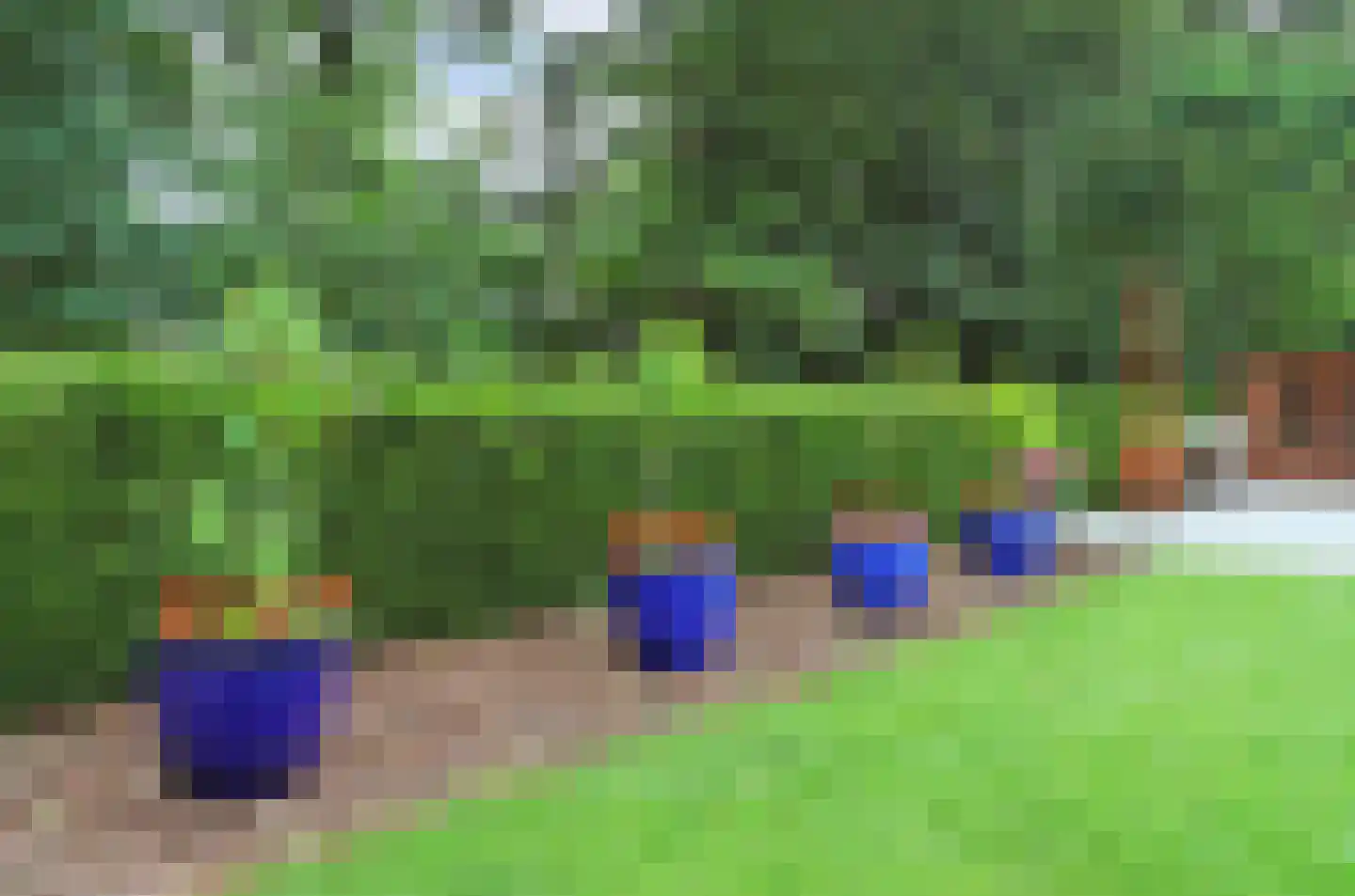 Rootven 16 A Bladel thumbnail 68