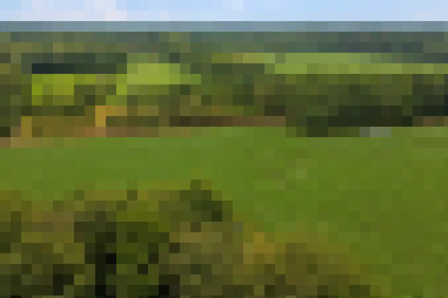 Rootven 16 A Bladel thumbnail 73