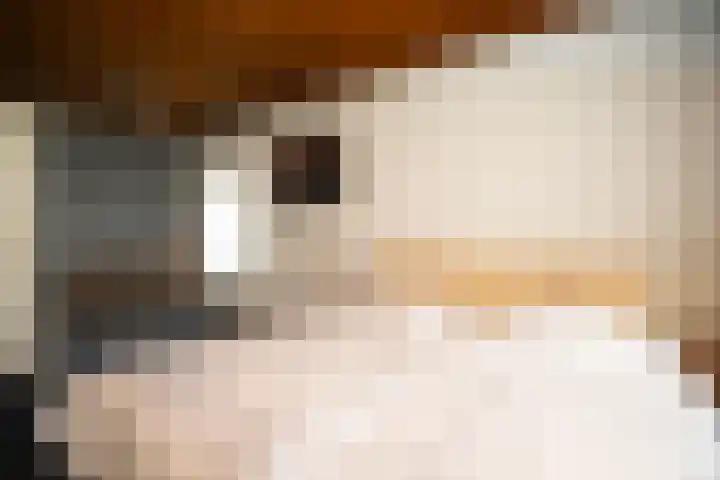 Rootven 47 Moergestel thumbnail 25