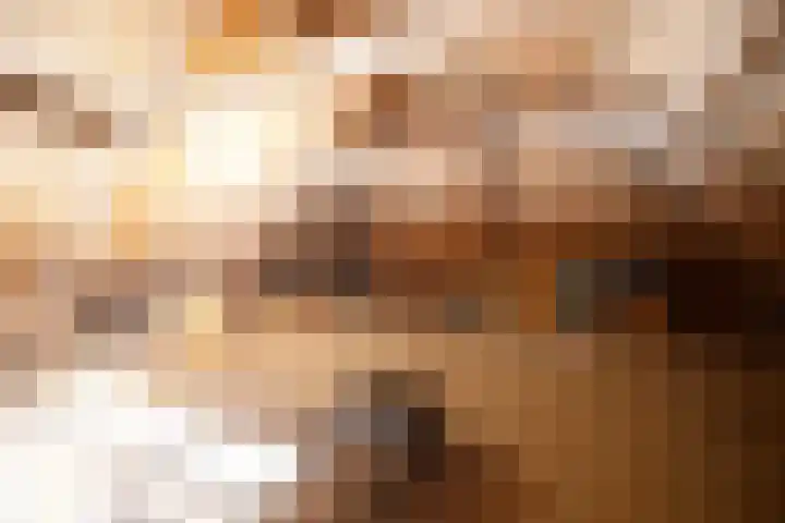 Rootven 47 Moergestel thumbnail 31