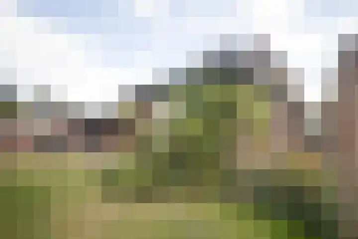 Rootven 47 Moergestel thumbnail 38