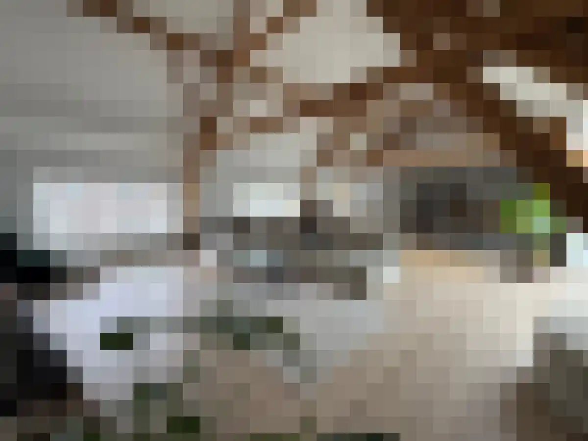 Rootven 8 C Moergestel thumbnail 6