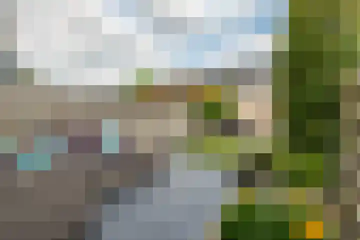 Rooversbroekdijk 55 Lisse thumbnail 20