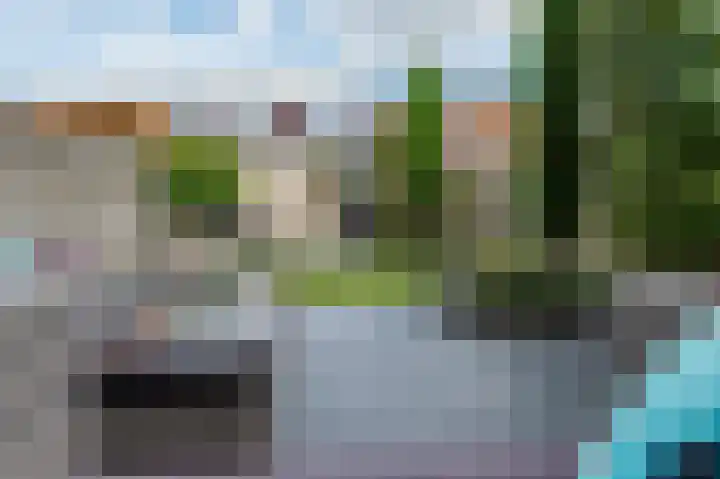 Rooversbroekdijk 55 Lisse thumbnail 21