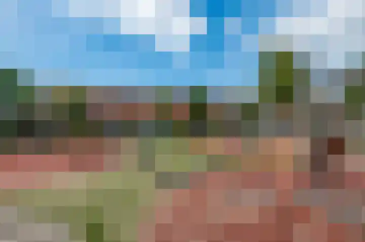 Rooversbroekdijk 55 Lisse thumbnail 6