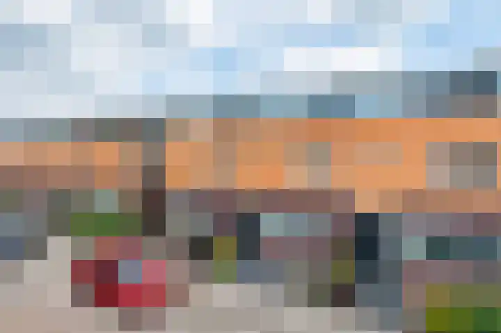 Rooversbroekdijk 55 Lisse thumbnail 7