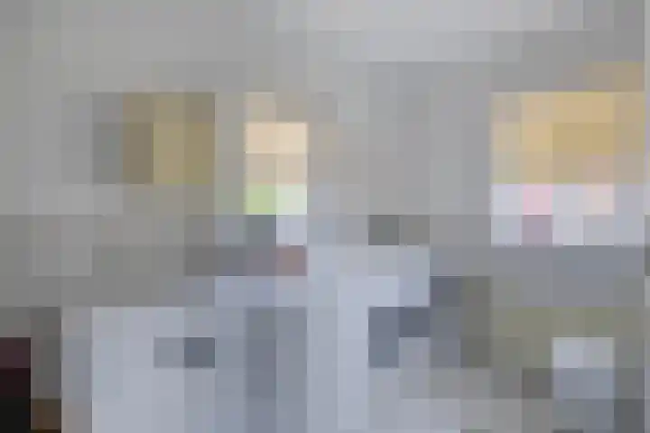 Rooversbroekdijk 60 Lisse thumbnail 12