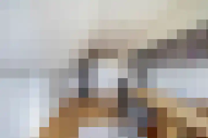 Rooversbroekdijk 60 Lisse thumbnail 24