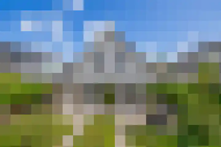 Rooversbroekdijk 60 Lisse thumbnail 28