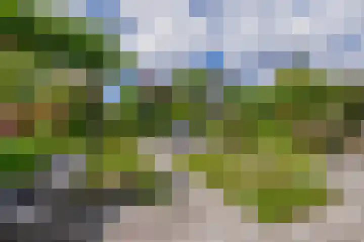 Rooversbroekdijk 60 Lisse thumbnail 31