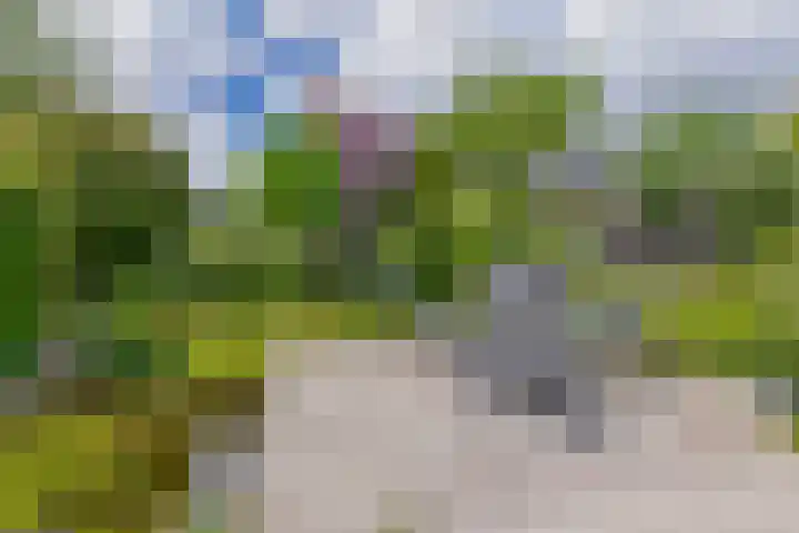 Rooversbroekdijk 60 Lisse thumbnail 32