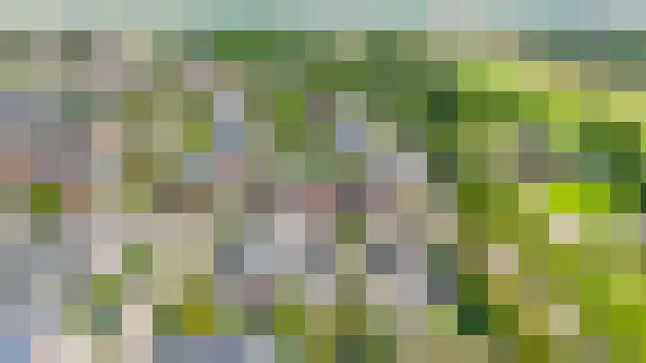 Rooversbroekdijk 60 Lisse thumbnail 34