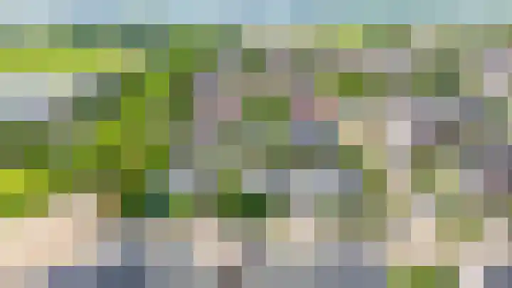 Rooversbroekdijk 60 Lisse thumbnail 35