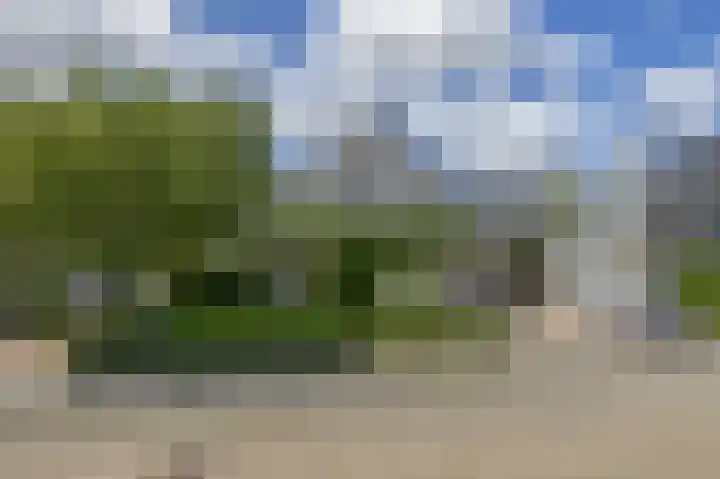 Rooversbroekdijk 60 Lisse thumbnail 37