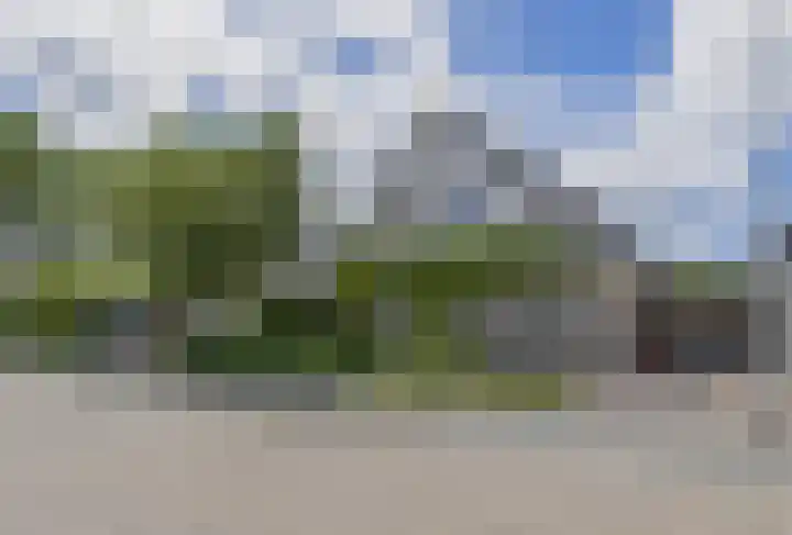 Rooversbroekdijk 60 Lisse thumbnail 46