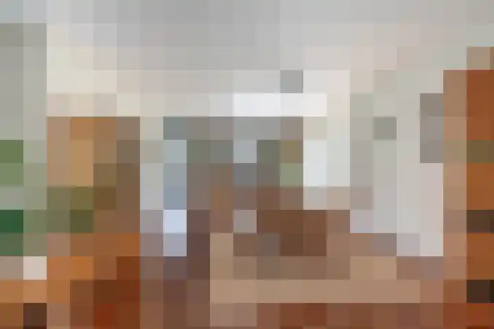 Rooversbroekdijk 60 Lisse thumbnail 7