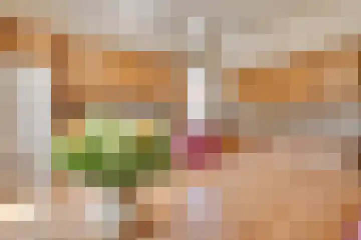 Roovertsebaan 3 Esbeek thumbnail 18