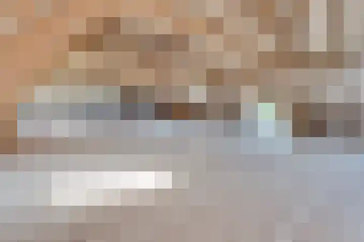 Roovertsebaan 3 Esbeek thumbnail 35