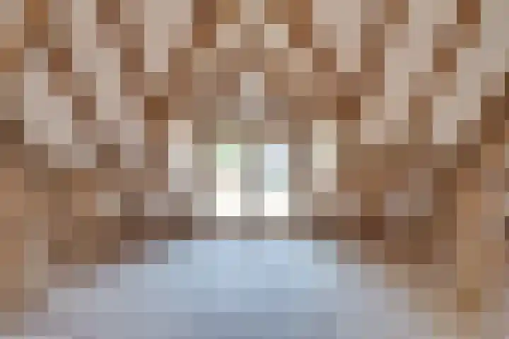 Roovertsebaan 3 Esbeek thumbnail 37