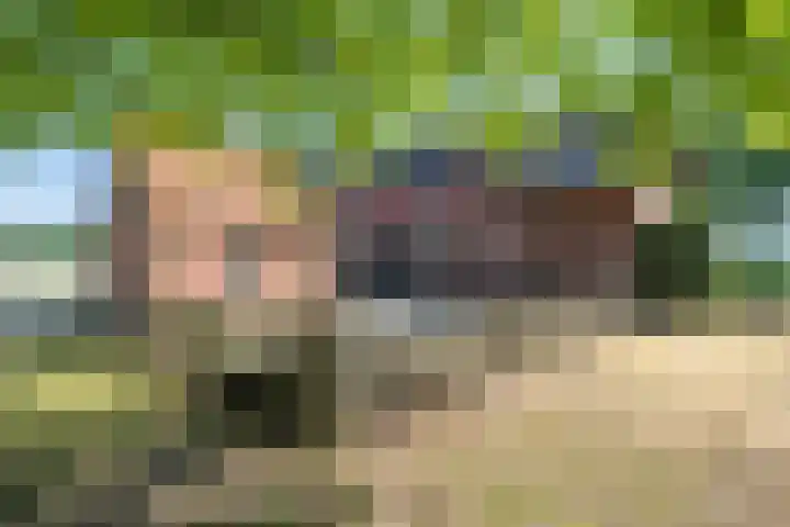 Roovertsebaan 3 Esbeek thumbnail 44