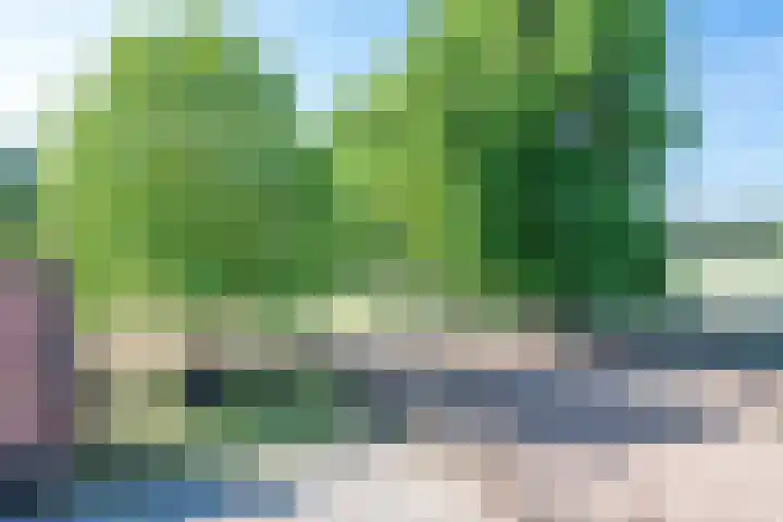 Roovertsebaan 3 Esbeek thumbnail 47