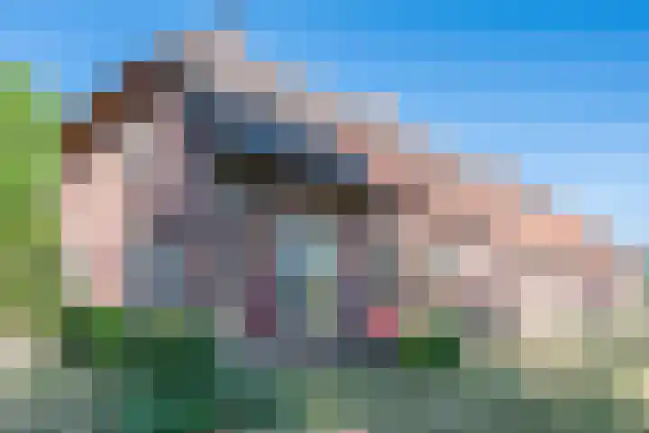 Roovertsebaan 3 Esbeek thumbnail 5