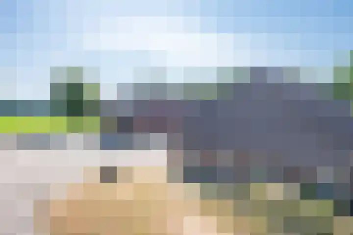 Roovertsebaan 3 Esbeek thumbnail 51