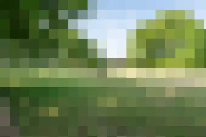 Roovertsebaan 3 Esbeek thumbnail 53