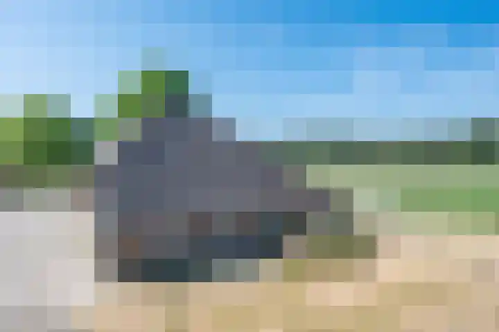 Roovertsebaan 3 Esbeek thumbnail 58