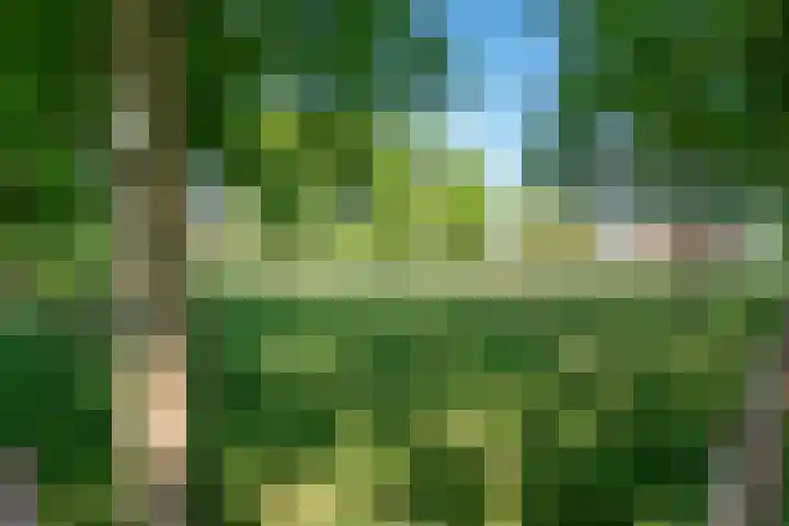 Roovertsebaan 3 Esbeek thumbnail 6