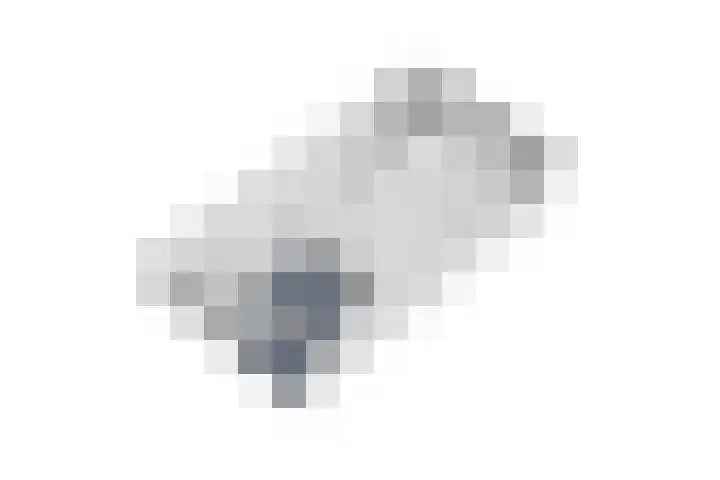 Roovertsebaan 3 Esbeek thumbnail 72