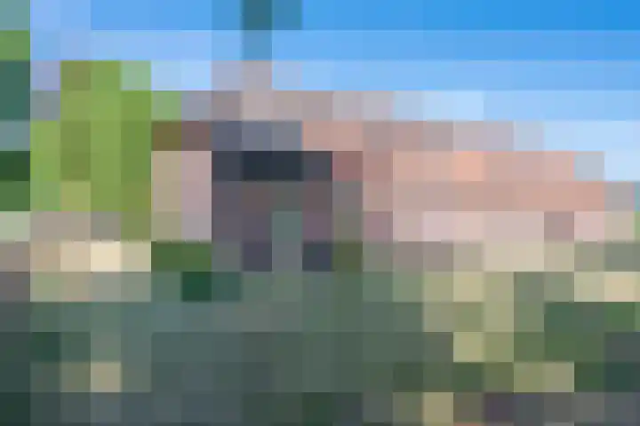 Roovertsebaan 3 Esbeek thumbnail 76