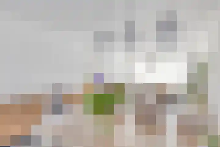 Roozenburglaan 147 Middelburg thumbnail 18