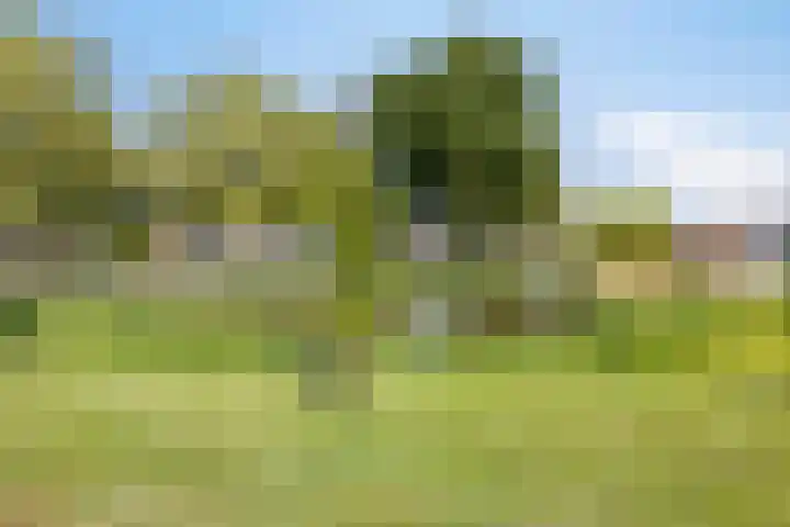 Roozenburglaan 147 Middelburg thumbnail 37