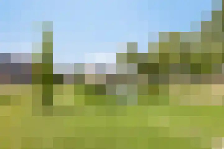 Roozenburglaan 147 Middelburg thumbnail 38